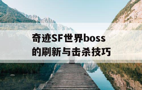 奇迹SF世界boss的刷新与击杀技巧