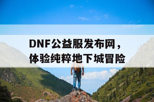 DNF公益服发布网，体验纯粹地下城冒险