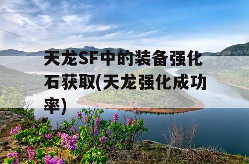 天龙SF中的装备强化石获取(天龙强化成功率)