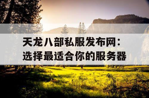 天龙八部私服发布网：选择最适合你的服务器