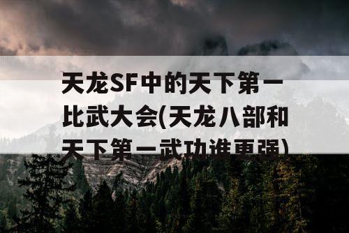 天龙SF中的天下第一比武大会(天龙八部和天下第一武功谁更强)