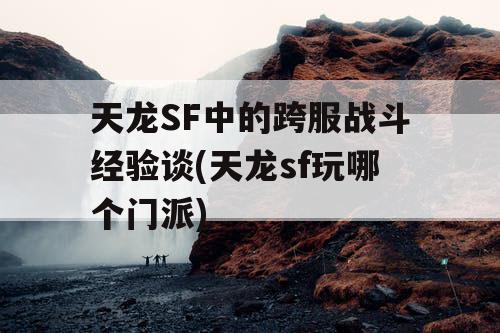 天龙SF中的跨服战斗经验谈(天龙sf玩哪个门派)