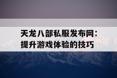 天龙八部私服发布网：提升游戏体验的技巧