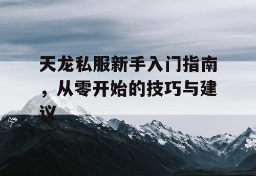 天龙私服新手入门指南，从零开始的技巧与建议