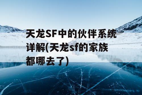 天龙SF中的伙伴系统详解(天龙sf的家族都哪去了)