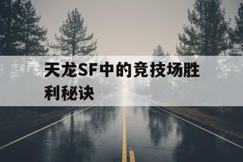 天龙SF中的竞技场胜利秘诀