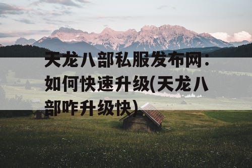 天龙八部私服发布网：如何快速升级(天龙八部咋升级快)