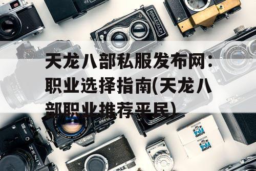 天龙八部私服发布网：职业选择指南(天龙八部职业推荐平民)