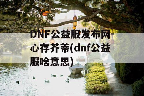 DNF公益服发布网-心存芥蒂(dnf公益服啥意思)