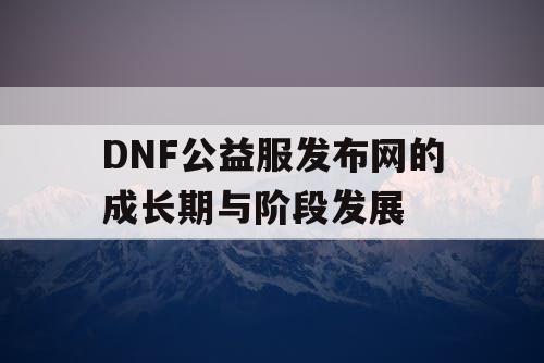 DNF公益服发布网的成长期与阶段发展