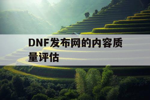 DNF发布网的内容质量评估