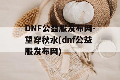 DNF公益服发布网-望穿秋水(dnf公益服发布网)