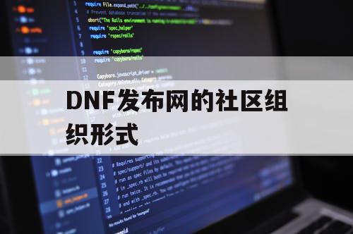 DNF发布网的社区组织形式