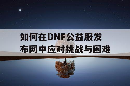 如何在DNF公益服发布网中应对挑战与困难