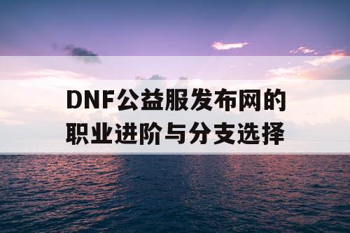 DNF公益服发布网的职业进阶与分支选择 DNF公益服发布网的职业进阶与分支选择