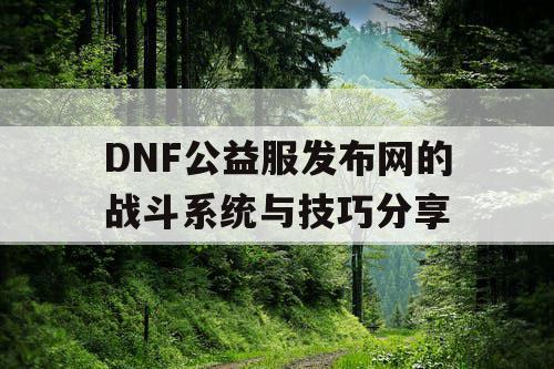 DNF公益服发布网的战斗系统与技巧分享