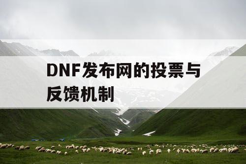 DNF发布网的投票与反馈机制