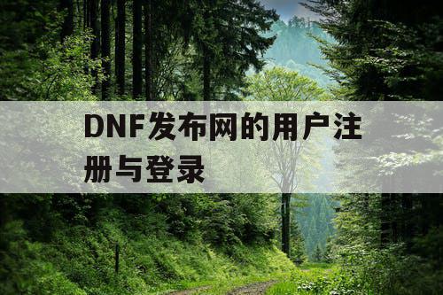 DNF发布网的用户注册与登录