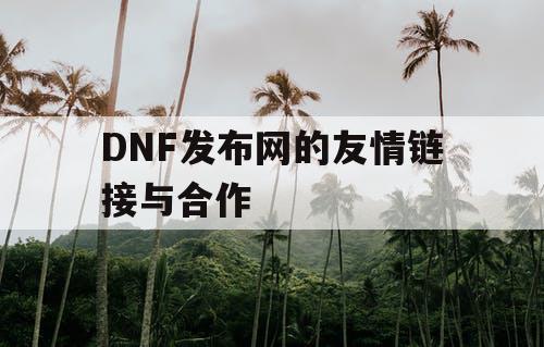 DNF发布网的友情链接与合作