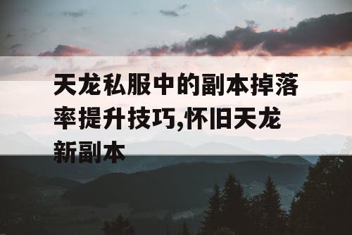 天龙私服中的副本掉落率提升技巧,怀旧天龙新副本