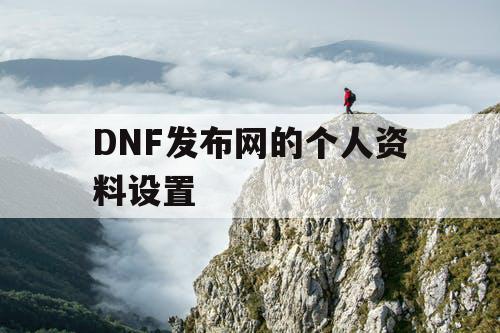 DNF发布网的个人资料设置