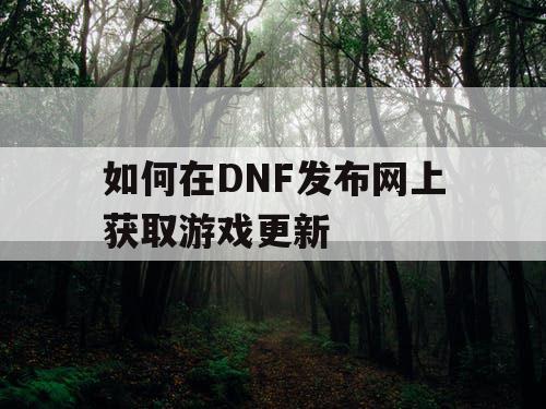 如何在DNF发布网上获取游戏更新