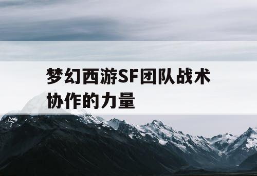 梦幻西游SF团队战术协作的力量