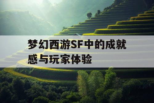 梦幻西游SF中的成就感与玩家体验