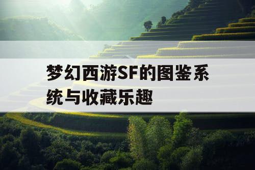 梦幻西游SF的图鉴系统与收藏乐趣