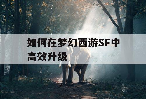 如何在梦幻西游SF中高效升级