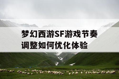 梦幻西游SF游戏节奏调整如何优化体验