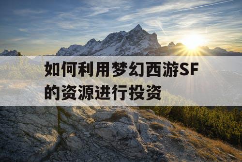 如何利用梦幻西游SF的资源进行投资