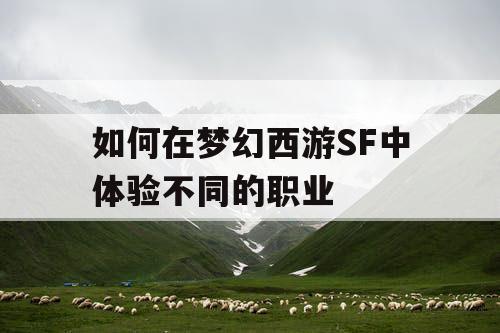 如何在梦幻西游SF中体验不同的职业