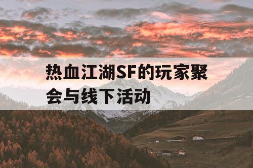 热血江湖SF的玩家聚会与线下活动