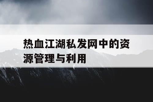 热血江湖私发网中的资源管理与利用
