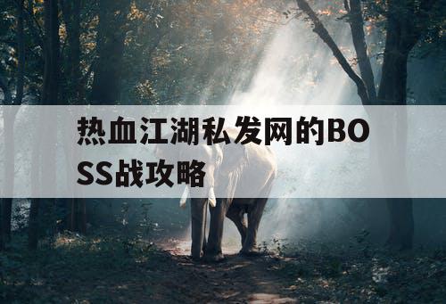 热血江湖私发网的BOSS战攻略 热血江湖私发网的BOSS战攻略