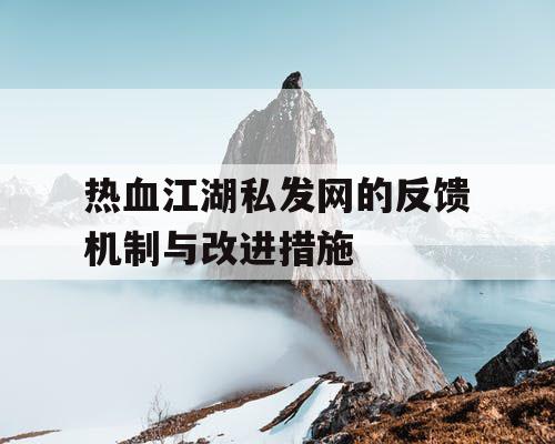 热血江湖私发网的反馈机制与改进措施
