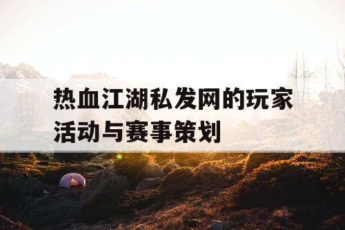 热血江湖私发网的玩家活动与赛事策划