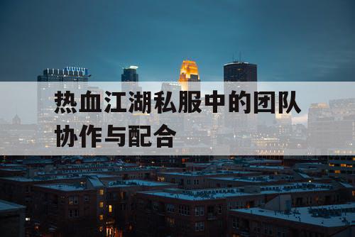 热血江湖私服中的团队协作与配合