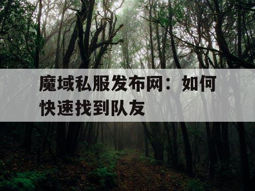 魔域私服发布网：如何快速找到队友