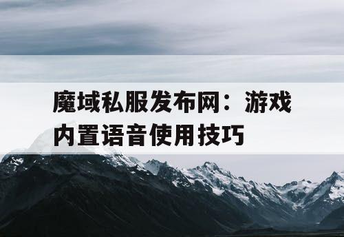 魔域私服发布网：游戏内置语音使用技巧