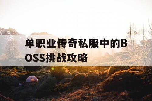 单职业传奇私服中的BOSS挑战攻略 单职业传奇私服中的BOSS挑战攻略