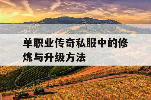 单职业传奇私服中的修炼与升级方法