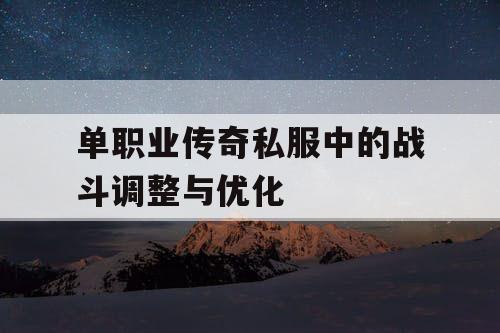 单职业传奇私服中的战斗调整与优化