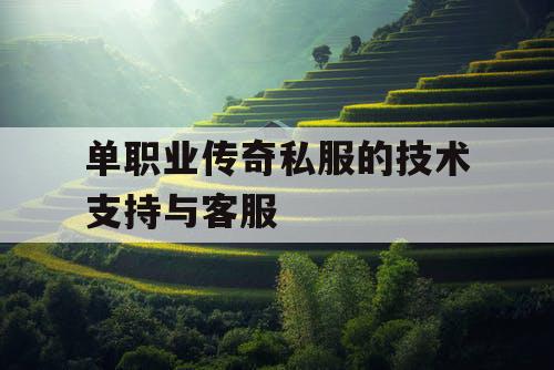 单职业传奇私服的技术支持与客服 单职业传奇私服的技术支持与客服