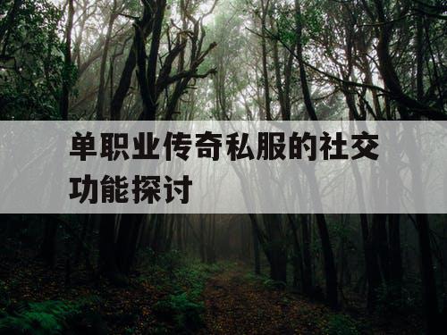 单职业传奇私服的社交功能探讨