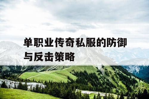 单职业传奇私服的防御与反击策略