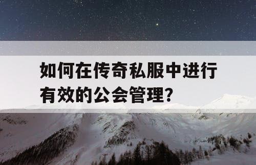如何在传奇私服中进行有效的公会管理？