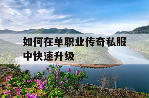 如何在单职业传奇私服中快速升级