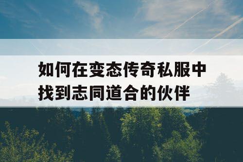 如何在变态传奇私服中找到志同道合的伙伴